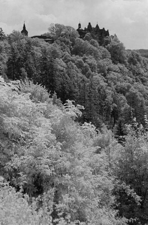 Ansicht des Schlosses Rammelburg im Harz