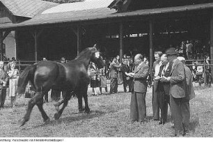 1. Landwirtschaftliche Leistungsschau, 8. Juli 1950