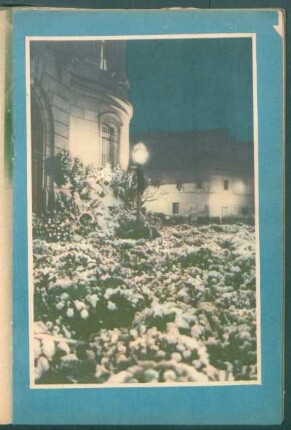 [Fotografías]