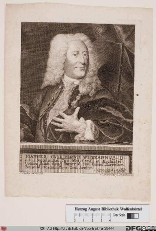 Bildnis Johann Wilhelm Widmann d. Ä.
