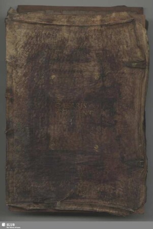 De bello Gallico libri VII, cum Hirtii octavo - Mscr.Dresd.Dc.167