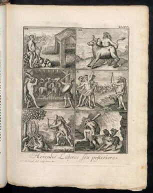 Tab. VI. Herculis Labores sex posteriores.