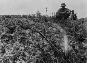 Flechten : Der Geograph Karl Wien (1906-1937) (links) und ein weiterer Mann an von Flechten überzogenen Felsen