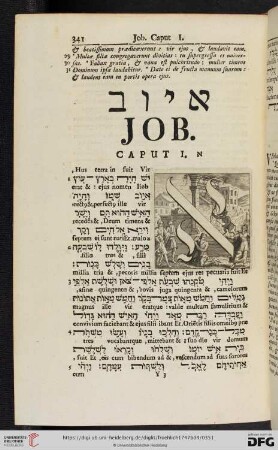 Job