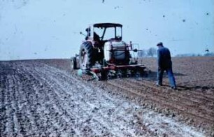Fotografie: Säverfahren, Einzelkornsaat, Zuckerrübe, Bandspritzung