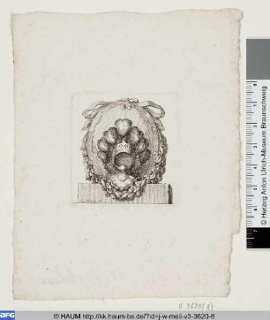 Helm mit Federn