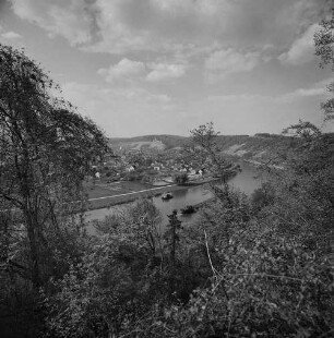 Archivfotografie "neckar_hassmersheim_6045neg"