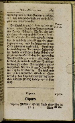Vipera, Vipern. - Zinziber, Ingber.
