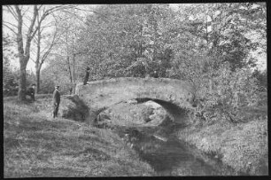 Großenhain. Partie im Stadtpark