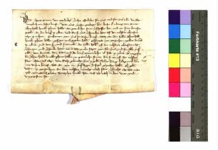 Agnes von Werdenberg, Witwe des Grafen Bertold von Graisbach und Marstetten, genannt von Neuffen, überlässt die ihr zugesprochene Ulmer Jahressteuer von 750 Pfund dem Konrad von Weißenhorn, weiland Ammann zu Ulm.
