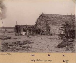 Blick auf mit Palmengras gedeckte Hütten einer indigenen Wohnsiedlung, Brasilien