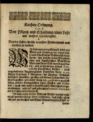 [V.] Kirchen-Ordnung.