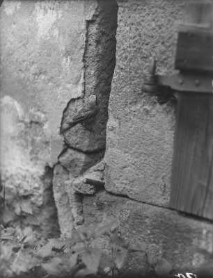 Gartenrotschwanz : Rochlitzer Berg, Gartenrotschwanz (Phoenicurus phoenicurus L.) an der Nisthöhle.