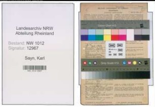Entnazifizierung Karl Sayn , geb. 29.04.1893 (Schlosser)