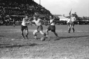 Ploesti: Sportfest