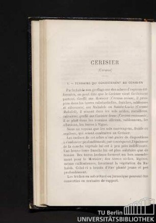 Cerisier (Cerasus)