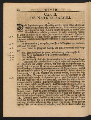 Cap. II. De Natura Salium.