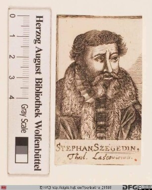 Bildnis Stephanus Szegedinus (eig. István Kis)