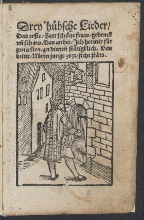 Drey huebsche Lieder/|| Das erste/ Zart schœne fraw/ gedenck || vñ schaw. Das ander/ Jch het mir fuer||genũmen/ zu dienen stætigklich. Das || dritte/ Meyn junge zeyt/ ficht stæts.||