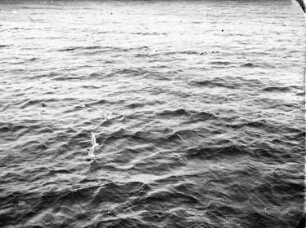 Deutschland. Am Meer. Blick auf die Wasserfläche. Ansicht mit Möwen