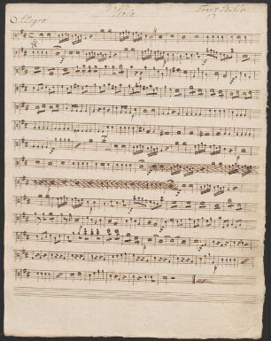 22 Viola