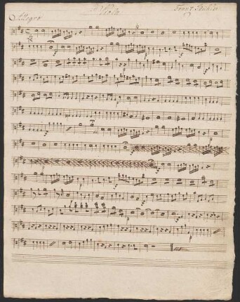 22 Viola