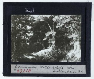 Coninxloo, Waldlandschaft (unidentifiziert)