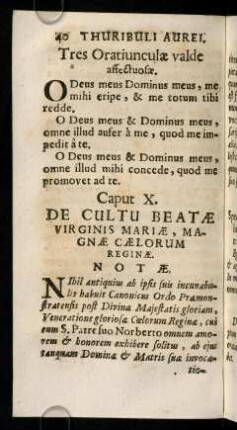 40-71, Caput X. De Cultu Beatae Virginis Mariae, Magnae Caelorum Reginae. Caput XI. De Cultu Patrorum. Caput XII. De Passione Christi.
