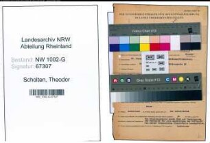 Entnazifizierung Theodor Scholten, geb. 27.12.1917 (Kaufmann)