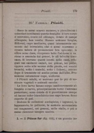 20. Famiglia: Ptinidi.