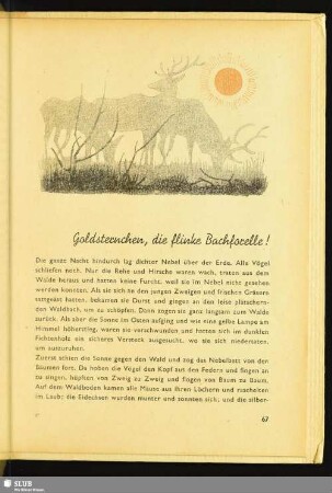 Goldsternchen, die flinke Bachforelle!