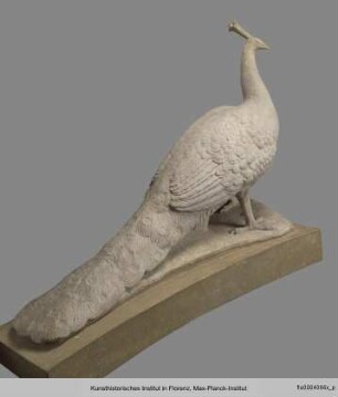 Pfau (Fontana di Sala Grande)
