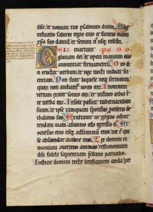 Historisierte Initiale C mit Fabelwesen auf Goldgrund