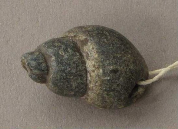 Reproduction of a clay snail shell for jewellery pendants