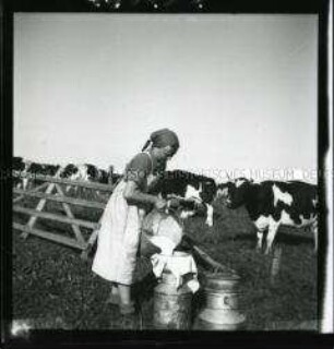 Arbeitsmaid des Reichsarbeitsdienstes beim Durchseien der Milch auf der Weide
