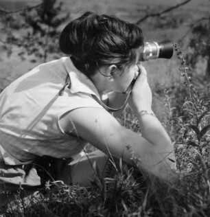 Exkursion zu Orchideen : Frau beim Fotografien einer blühenden Orchidee