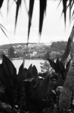 Mainau, Insel Mainau: Universität von der Mainau aus
