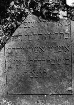 Grabstein 344 (Index: 99791737) Material: Sandstein Zustand: leicht verwittert, Stele liegend, oberer Teil der Stele weggebrochen mit Textverlust Maße HxBxT: 66x58x7 cm Beschreibung: Stele: Grabstein 344 (Detailaufnahme)