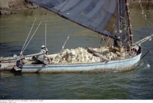 Ägypten: Am Nilufer
