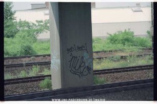 "miko"