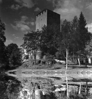 Lienz. Schloss Bruck (um 1280, Erweiterung 1501/1600). Turm