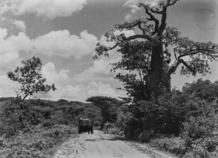 Baobab : Der Truck der Expedition, abgestellt nahe eines Affenbrotbaumes