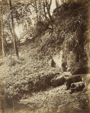 Felsen mit Treppe und Gestrüpp