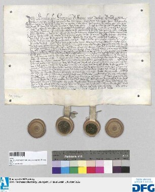 Bernhardus Praetorius tritt neuerdings auf vier Jahre als Syndikus in die Dienste der Stadt Nürnberg. - Siegler: Wolffgang Harßdorffer und Christoff Pfintzing.