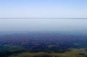 Frankreich. Provence. Bouches du Rhone. Etang de Vaccares. Camargue. Wasserlandschaft