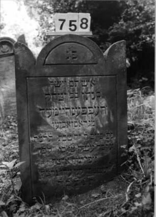 Grabstein 758 (Index: 99802224) Material: Sandstein Zustand: eingesunken Maße HxBxT: 80x53x13 cm Beschreibung: Stele mit eingezogenem Rundbogen und Seitenakroterien Besonderheit: Endreim: Grabstein 758