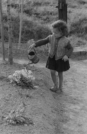 Ein kleines Mädchen gießt Blumen