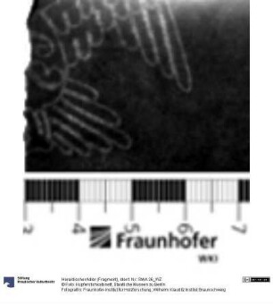 Heraldischer Adler (Fragment)