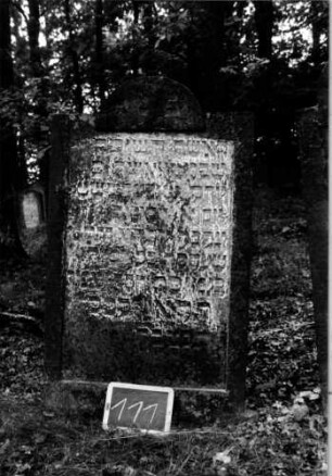 Grabstein 111 [Nir S. 85 Nr. 9.05]