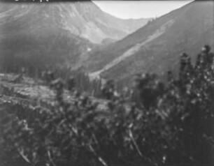 Wald : Blick auf bewaldete Berghänge